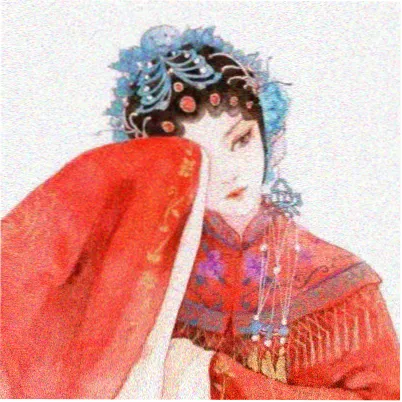 花蝴蝶演员 程野